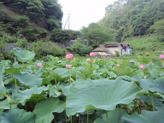 P1010036 (2).JPG